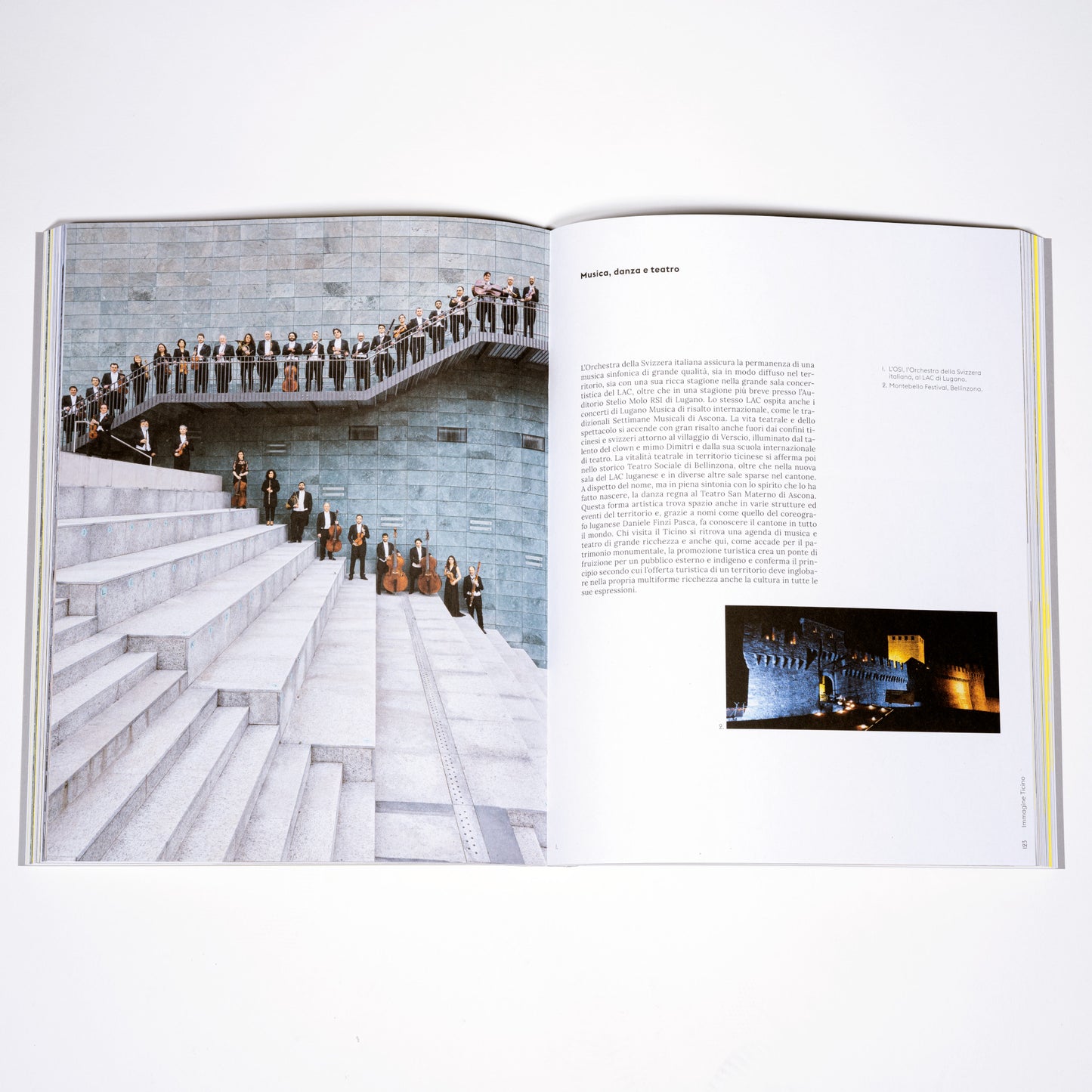 Buch Immagine Ticino